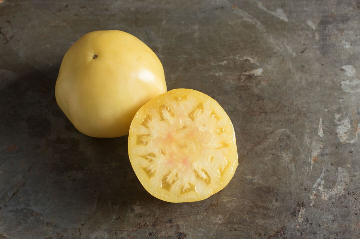 Great White – Organic Tomato Seed